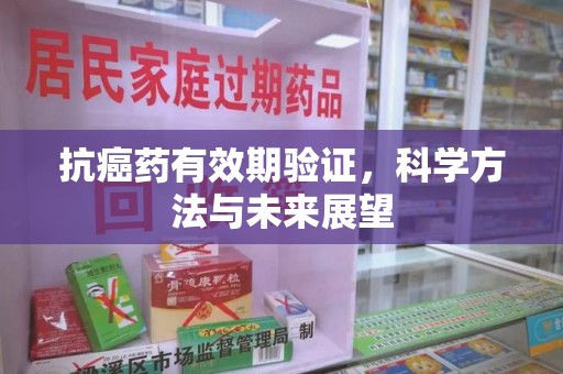 嘉兴抗癌药有效期验证，科学方法与未来展望