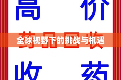 嘉兴全球视野下的挑战与机遇