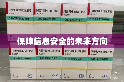 嘉兴保障信息安全的未来方向