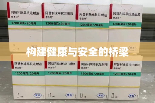嘉兴构建健康与安全的桥梁