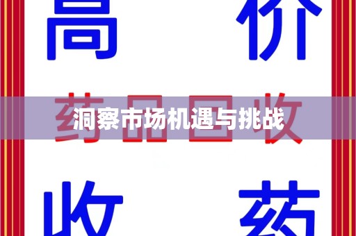 嘉兴洞察市场机遇与挑战