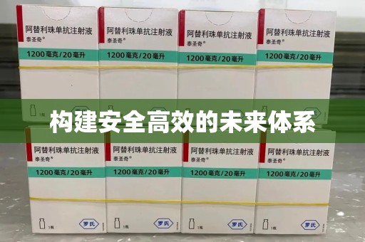 嘉兴构建安全高效的未来体系