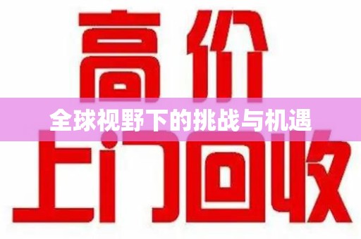 嘉兴全球视野下的挑战与机遇