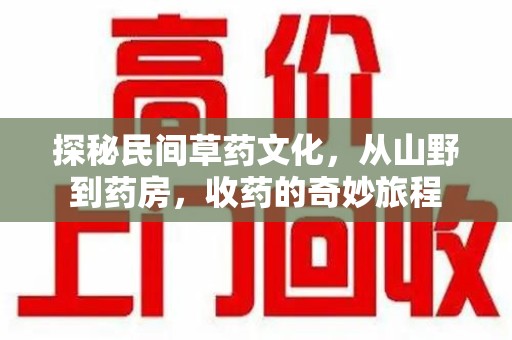 嘉兴探秘民间草药文化，从山野到药房，收药的奇妙旅程