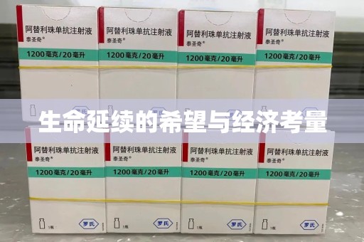 嘉兴生命延续的希望与经济考量