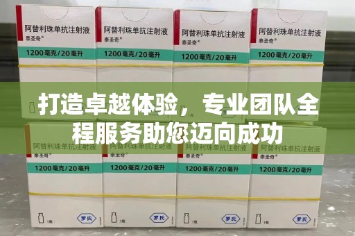 嘉兴打造卓越体验，专业团队全程服务助您迈向成功